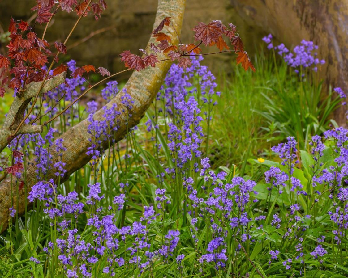 Sennen House Bed & Breakfast Warrenpoint Eksteriør bilde